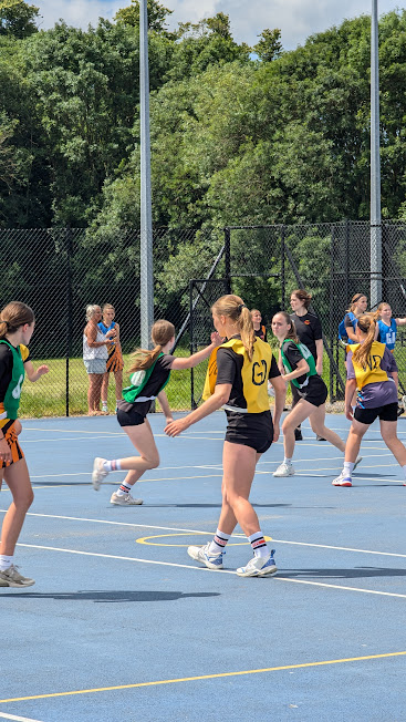 Fareham Fireflys netball club players